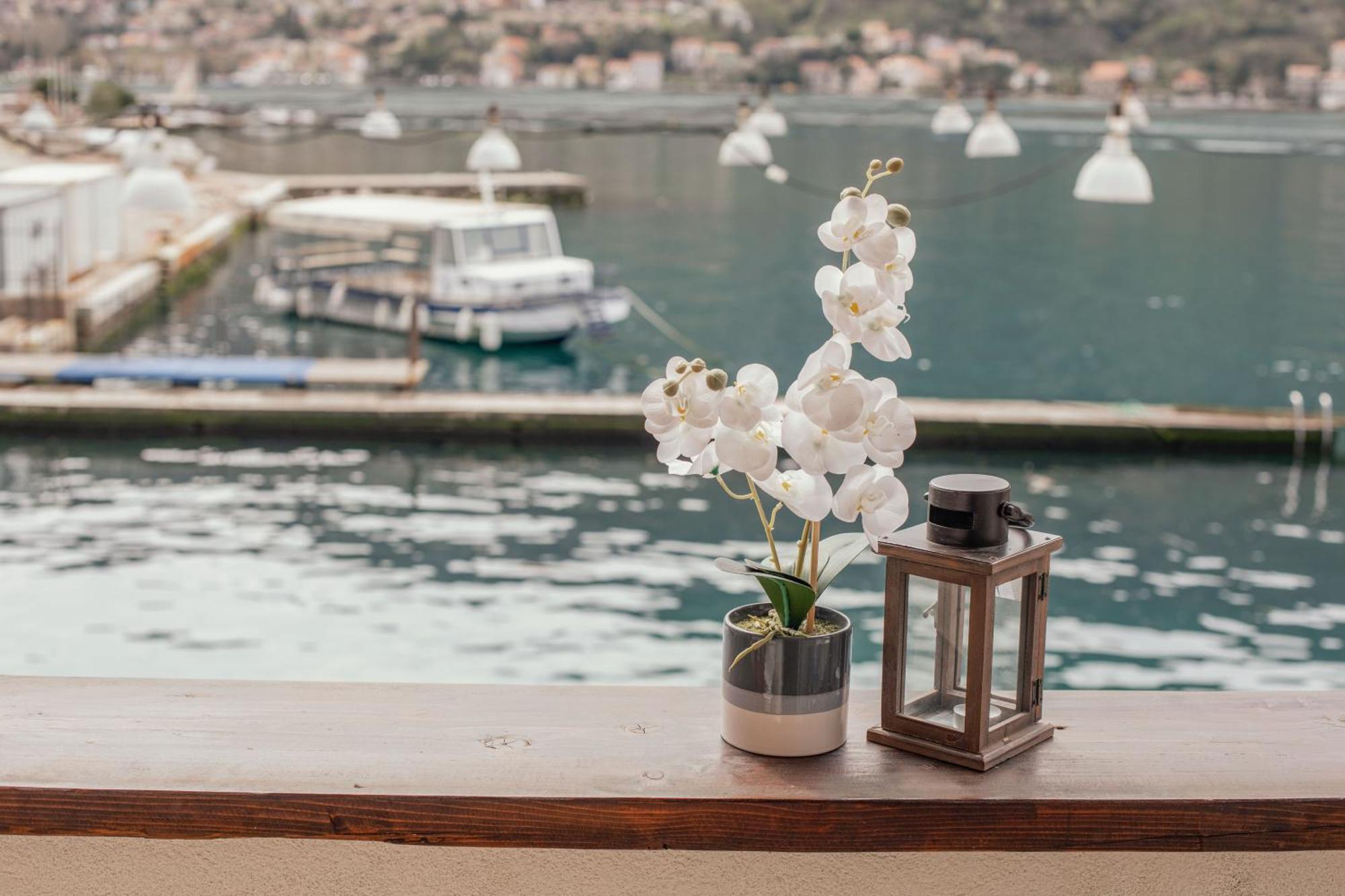 Step To Kotor Bay Guesthouse מראה חיצוני תמונה