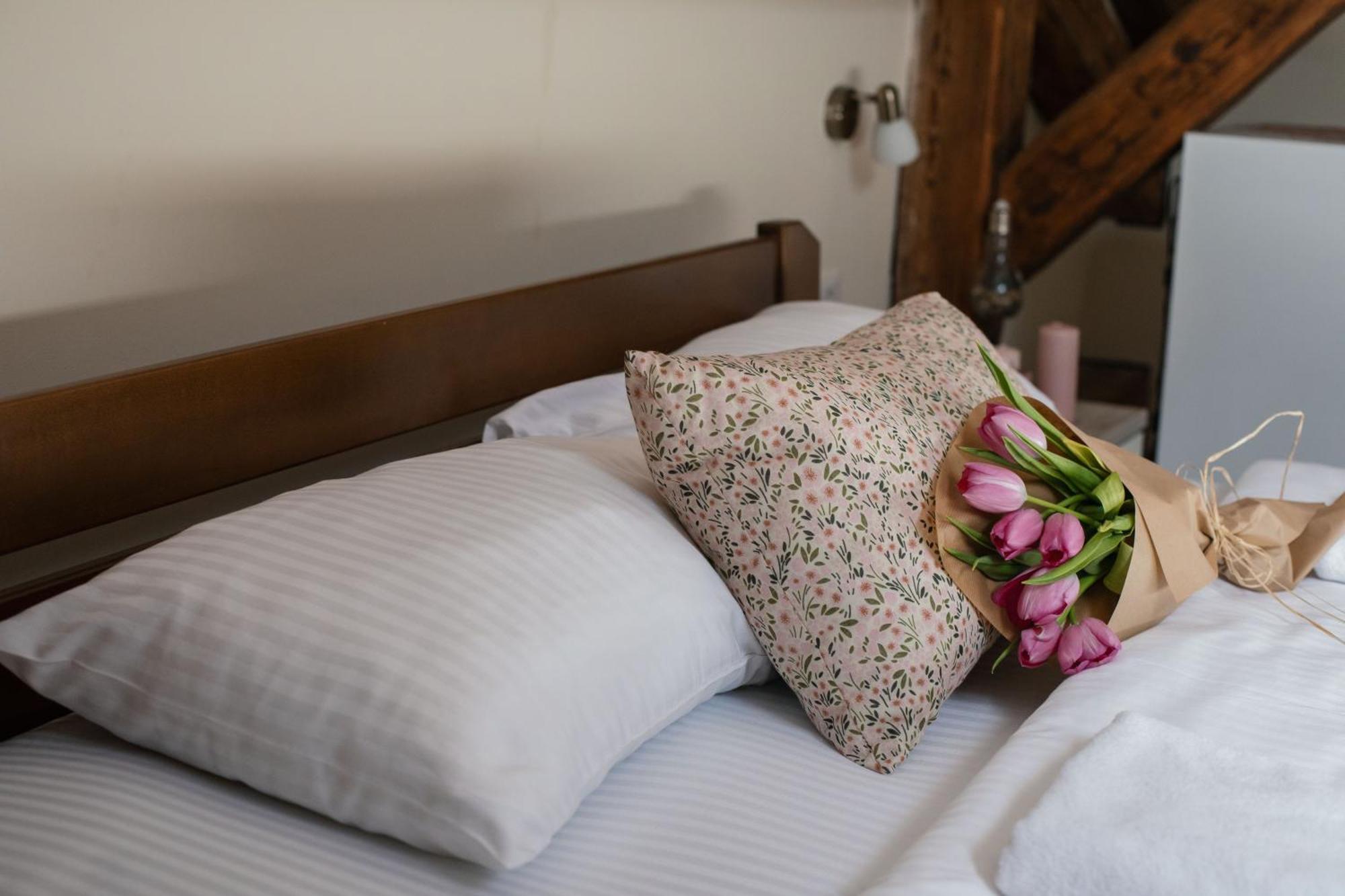 Step To Kotor Bay Guesthouse מראה חיצוני תמונה